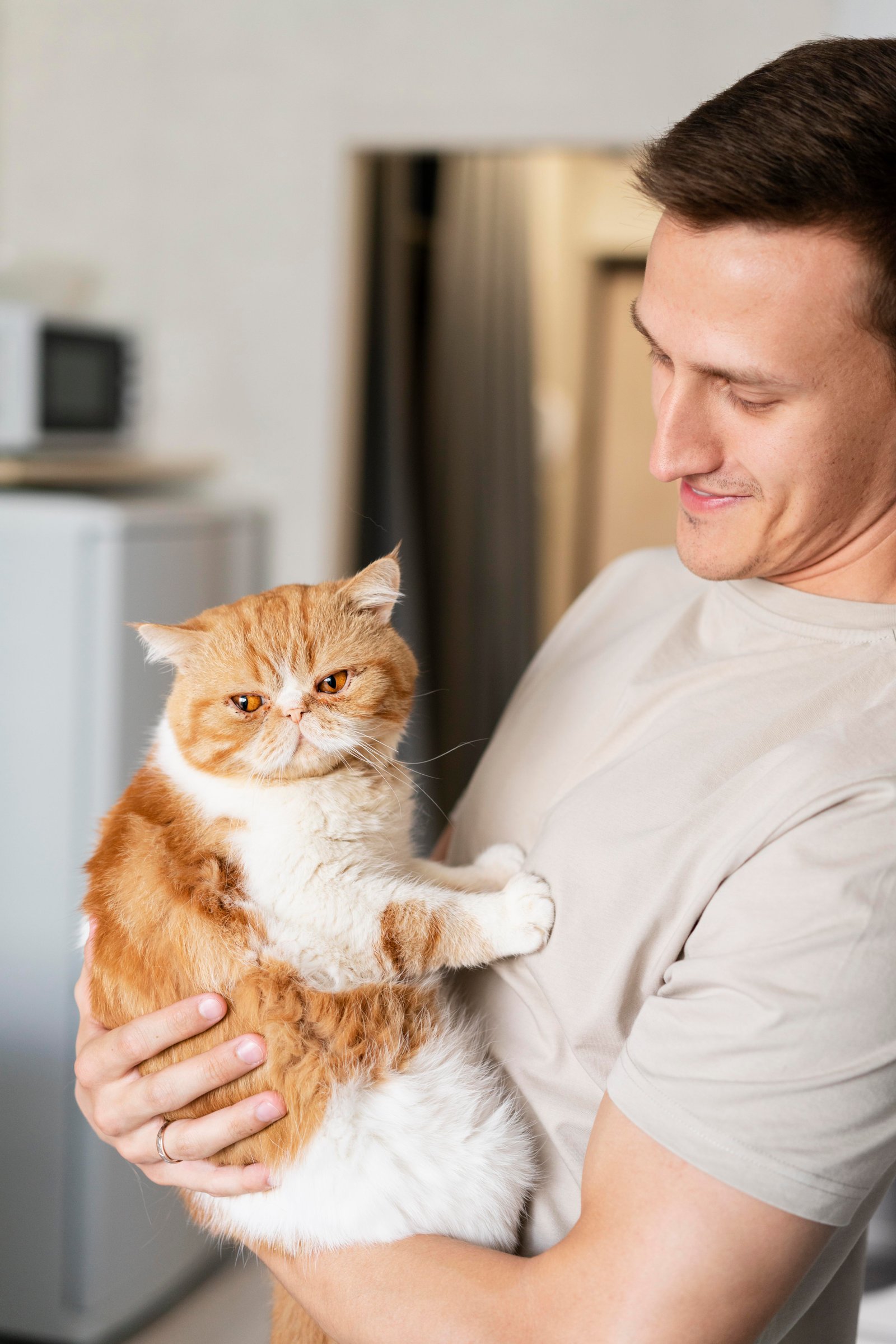 Maine Coon Kitten World breeder with cat